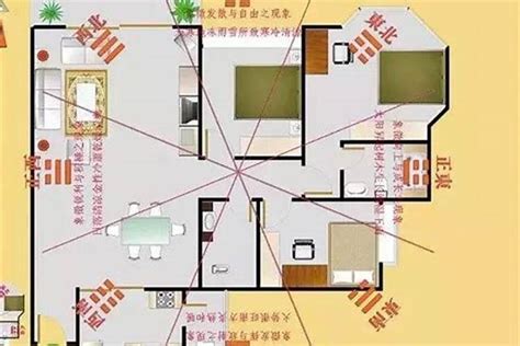 财位放什么|住宅风水的“财位”怎么找和布置？13超详细图解来教你